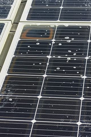 Droppings and dried hard-water spotting on a working array.